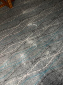 Stains on the carpet