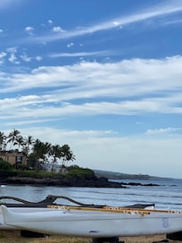 Part of our 3 mile morning walk from the Maui Banyan
