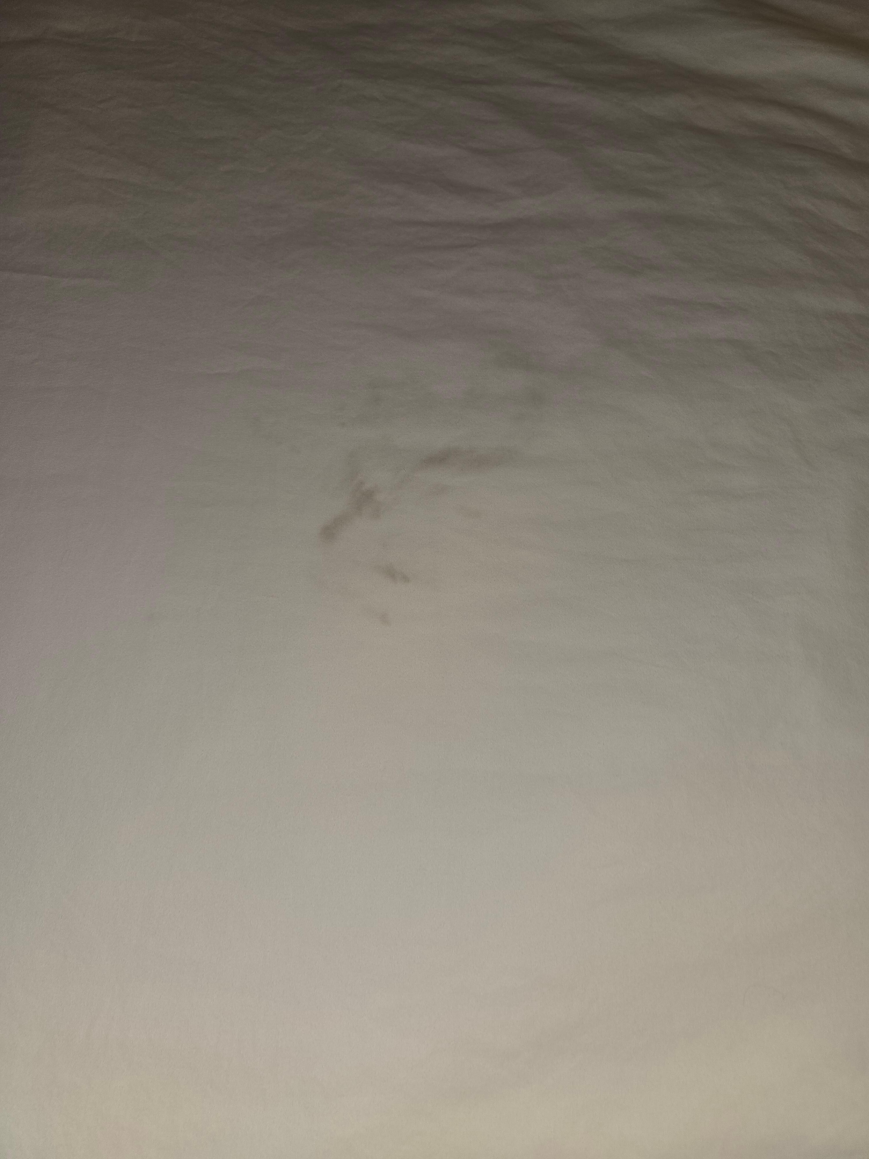 Bed cover stained