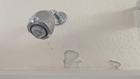 Peeling paint and moldy shower head.