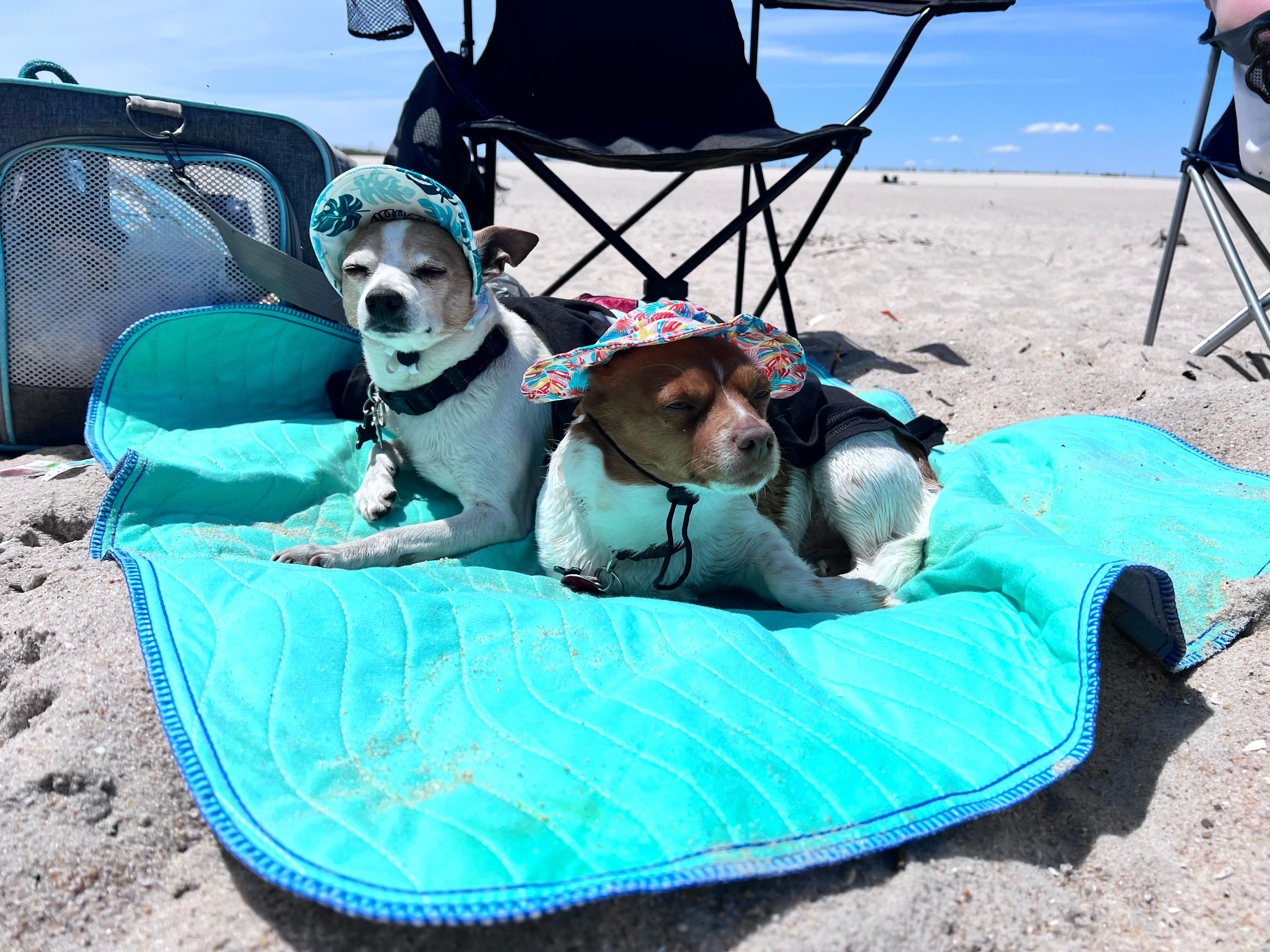 The boys sunbathing at the beach…first time beach goers!