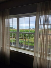 View from the room.
