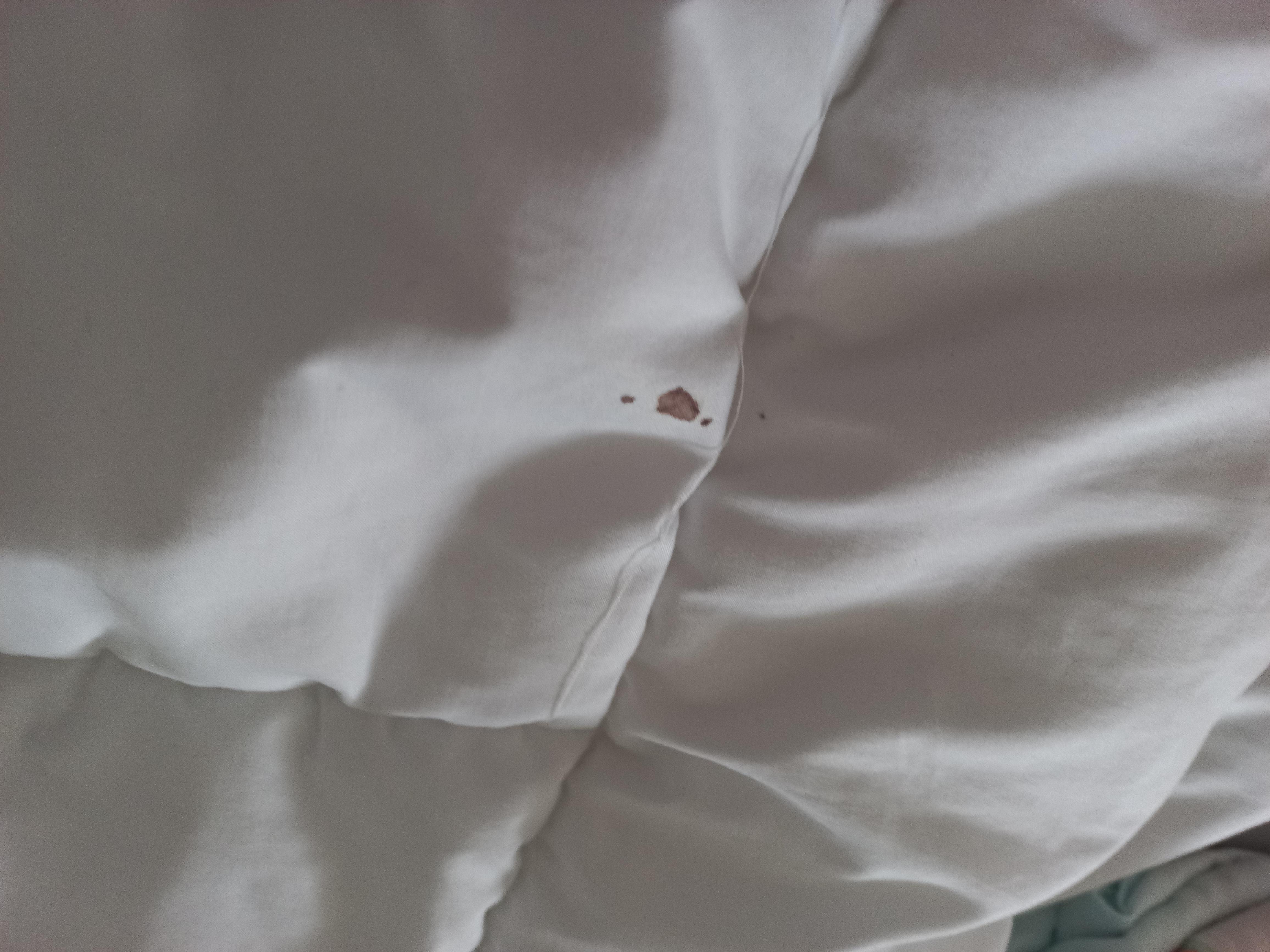 Decke wurde wohl noch nie gewaschen 