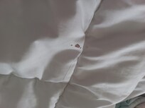 Decke wurde wohl noch nie gewaschen