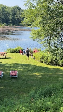 Beautiful yard