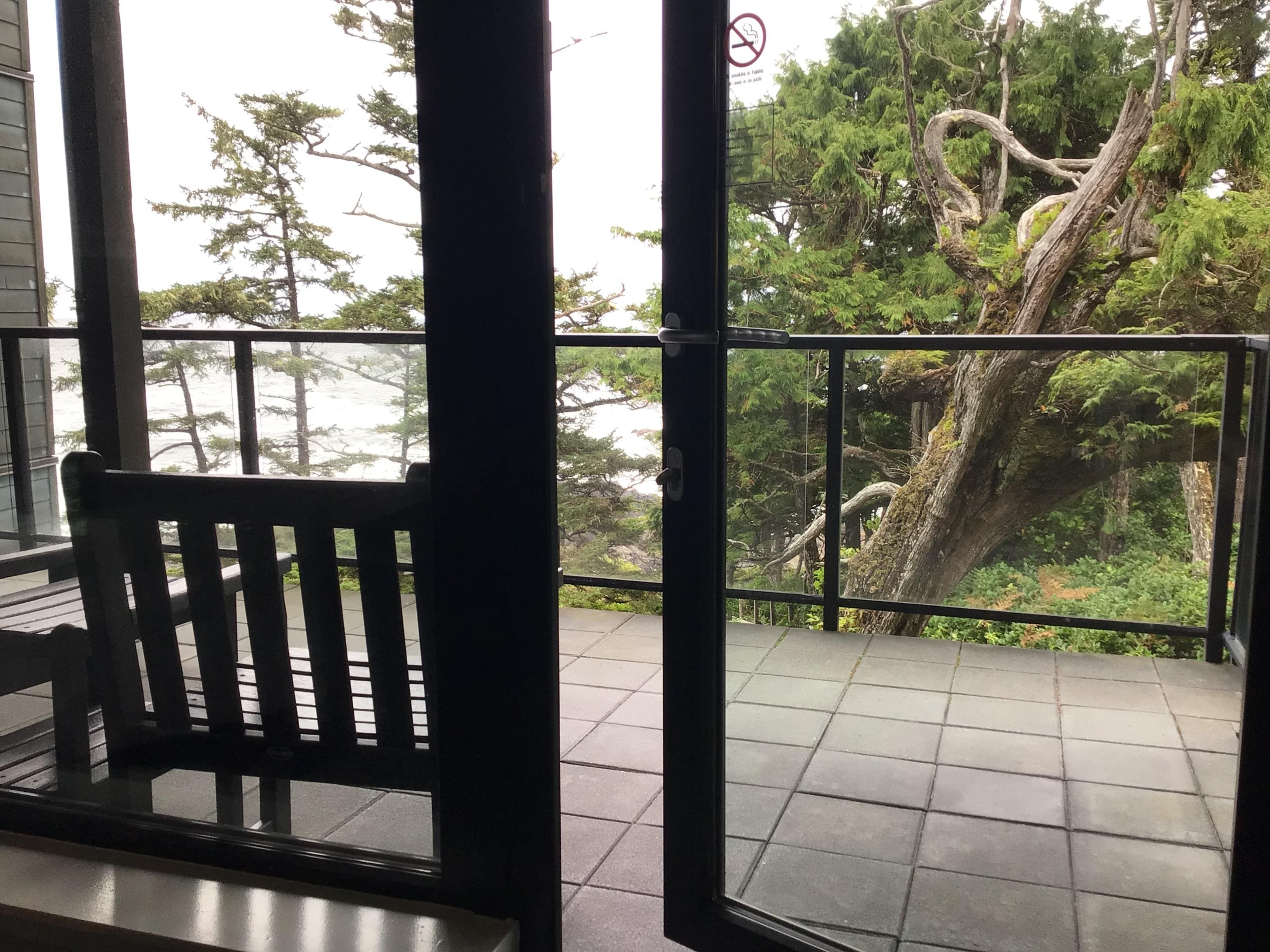 View from living room.