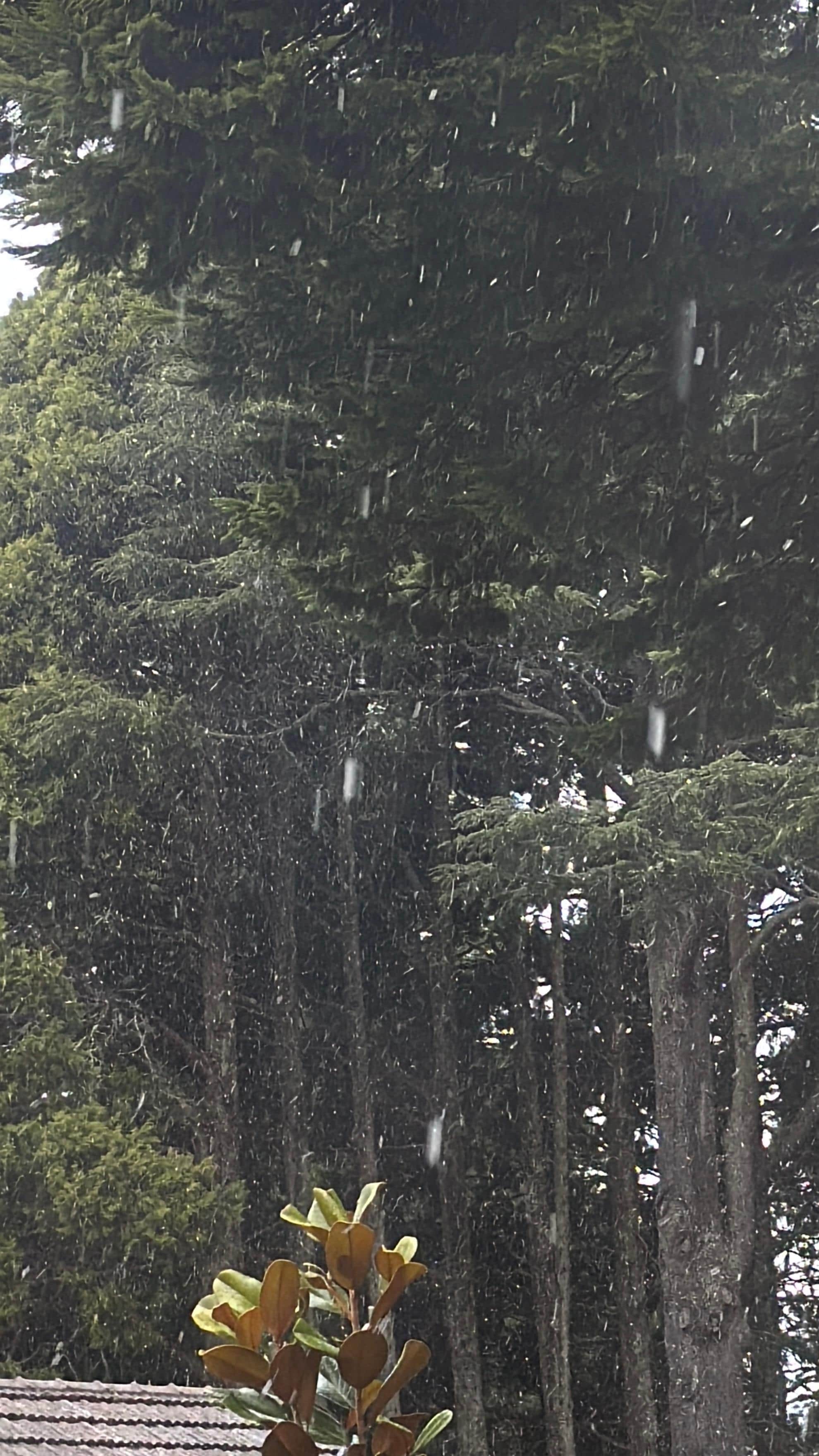 We even got some snowfall!