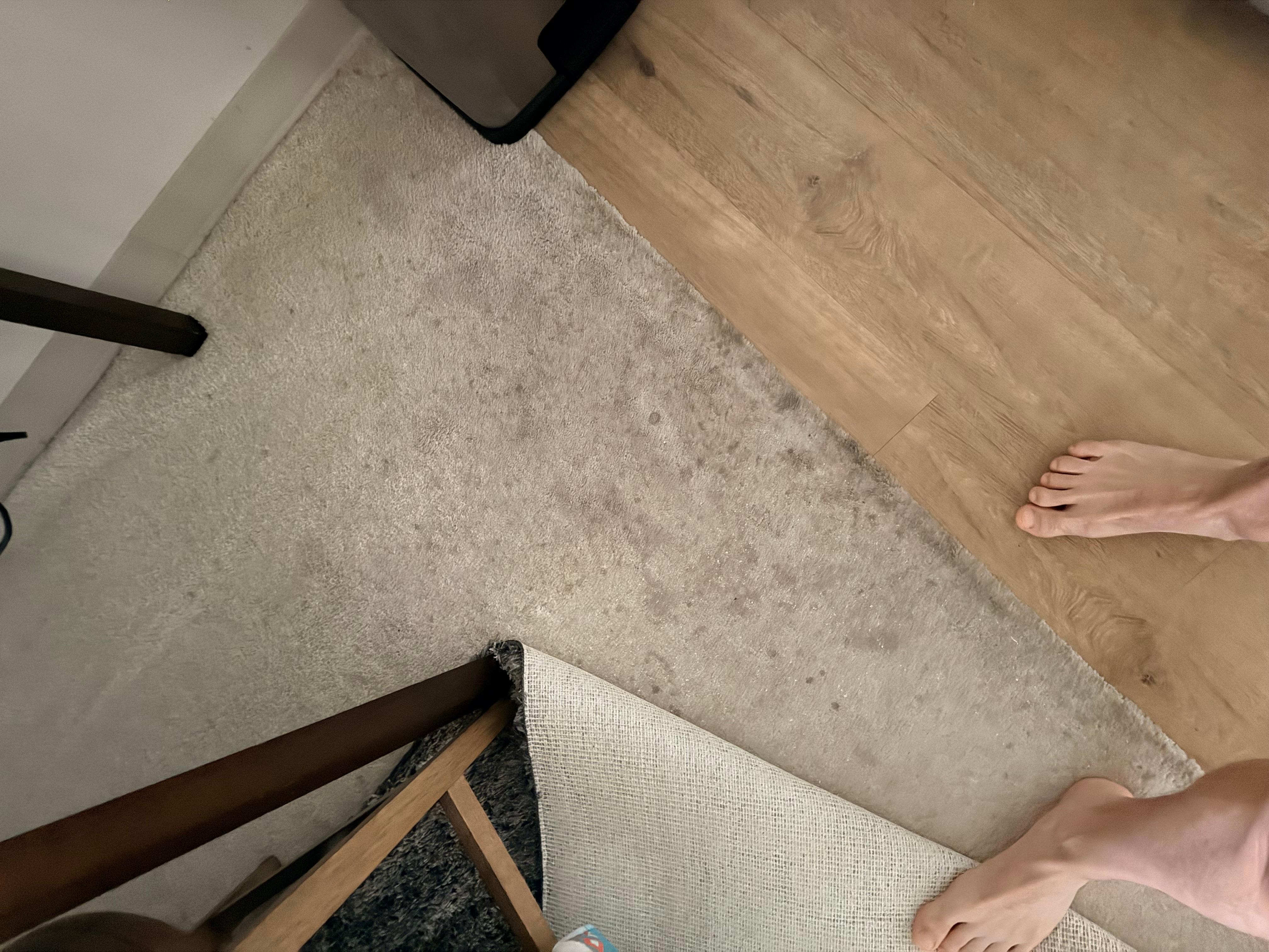 More gross dirt on vinyl and carpet