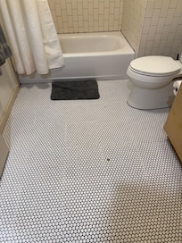 The bathroom had pubic hair all over it.