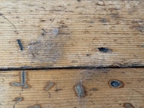 Dog hair from previous guests