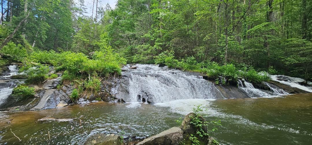 View of the falls 
