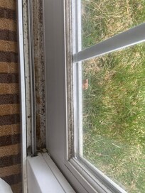 Mould around patio door