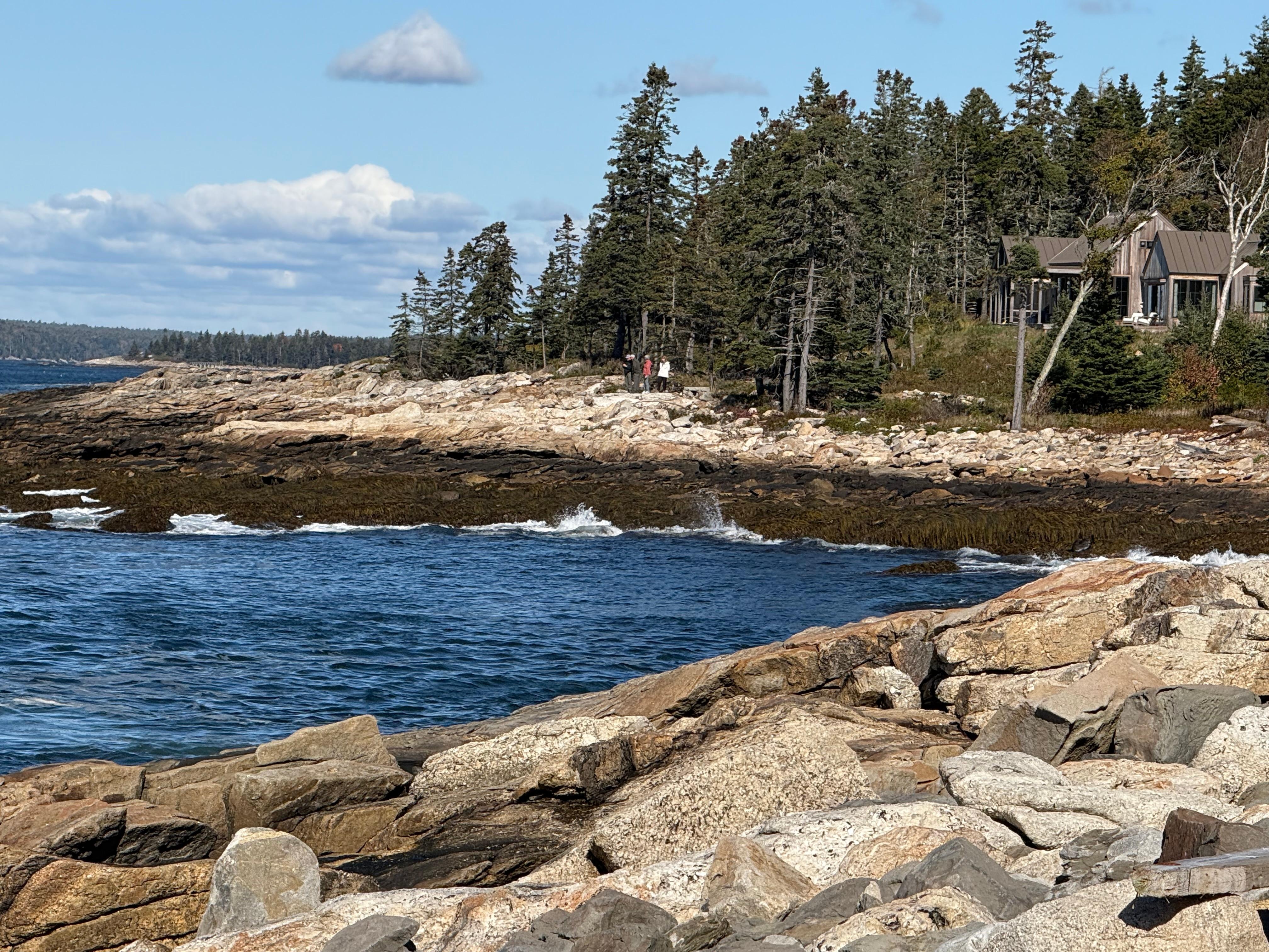 View of the coast from the garden