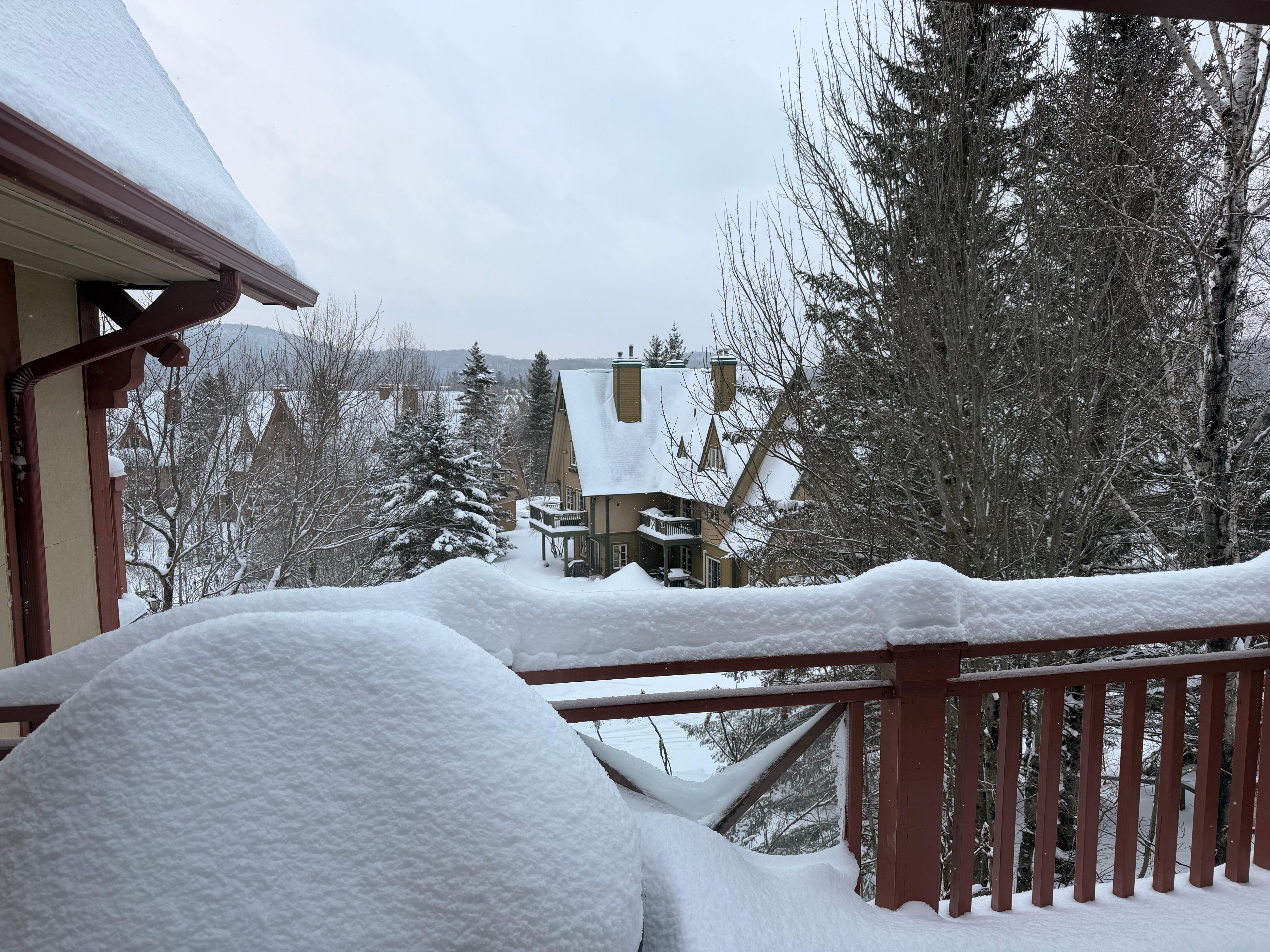 Th grill was a bit hard to use