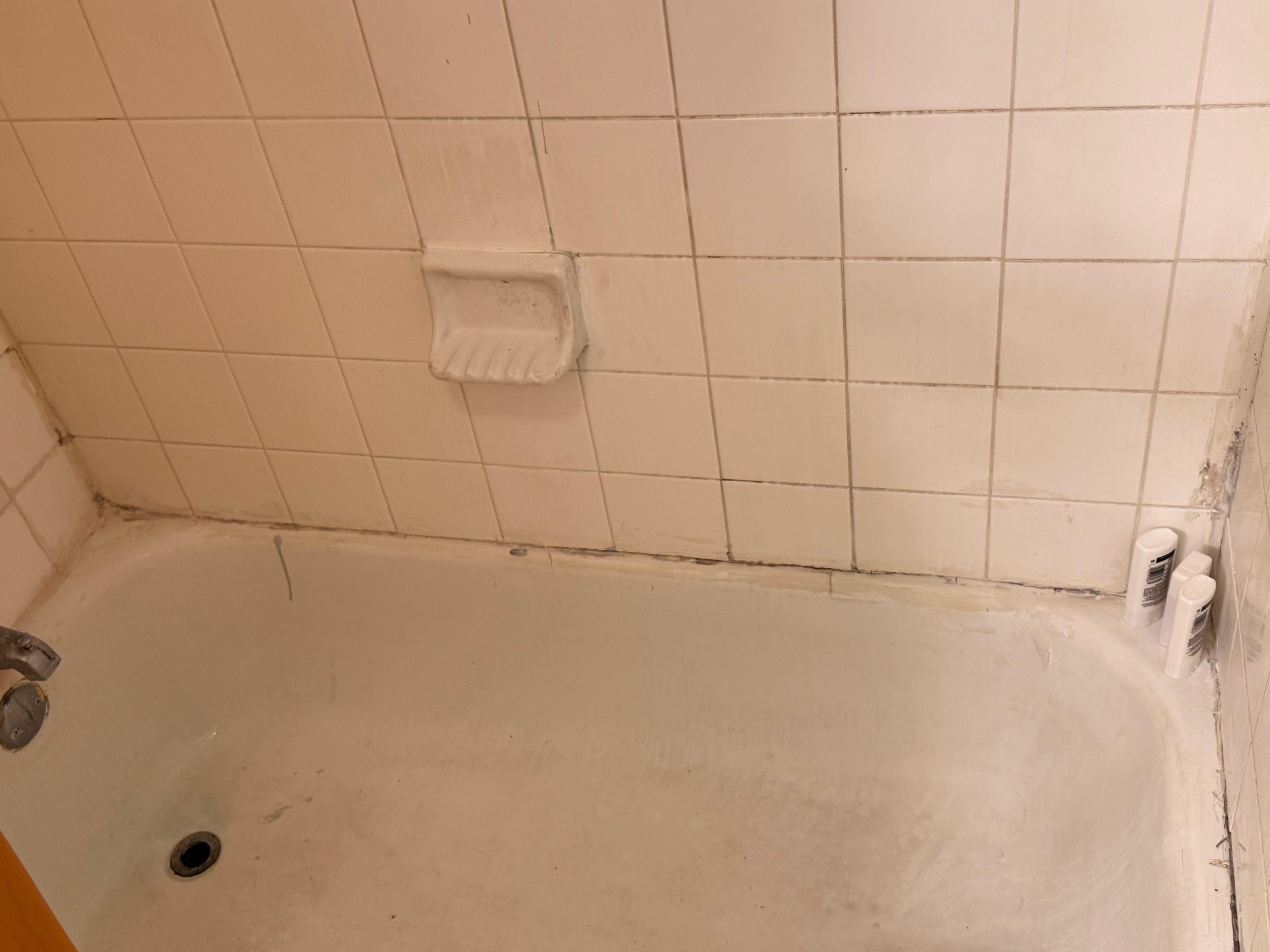 Mold in bathroom 