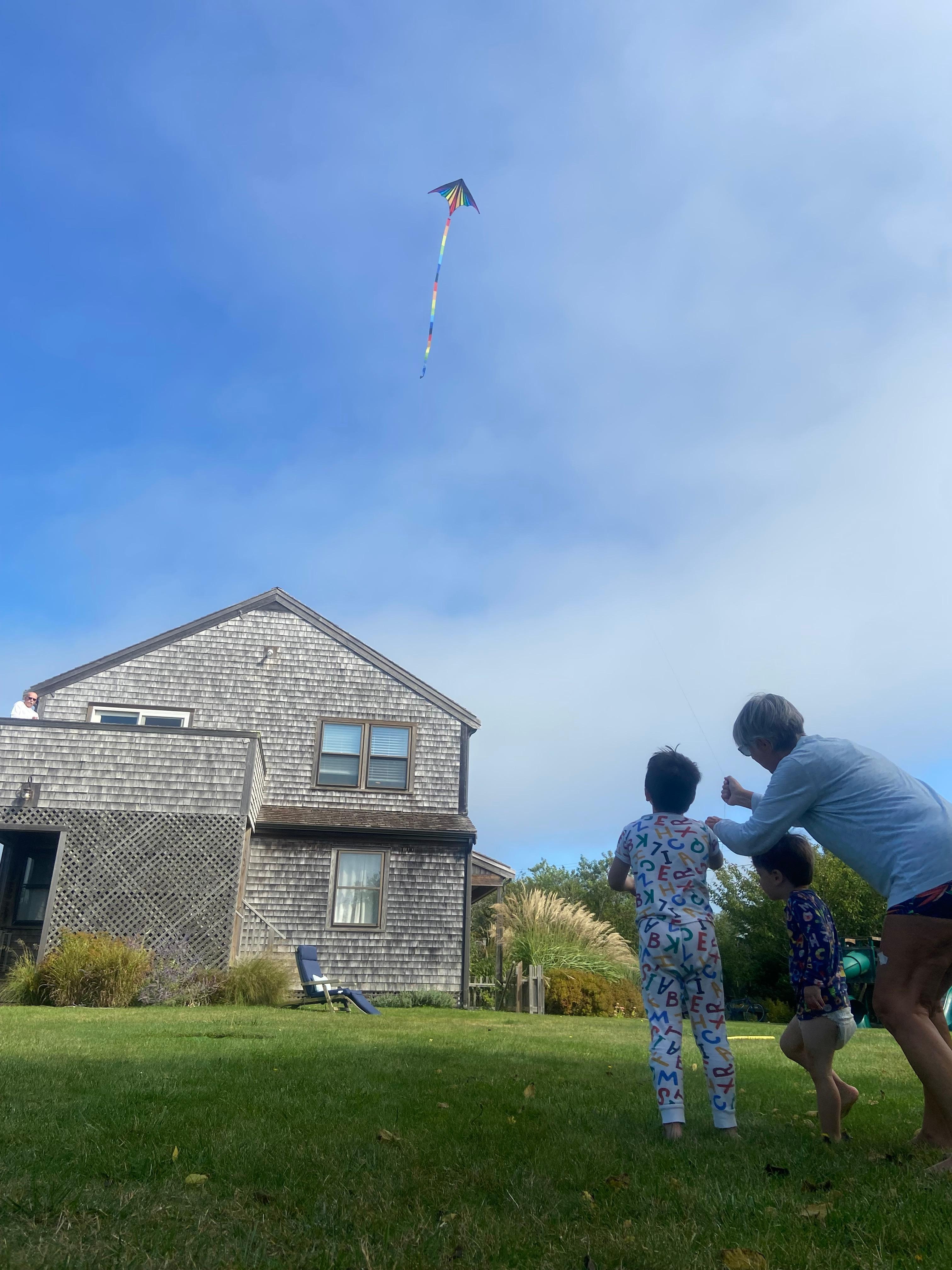 Kite flying in backyard