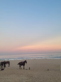 Beach at sunset