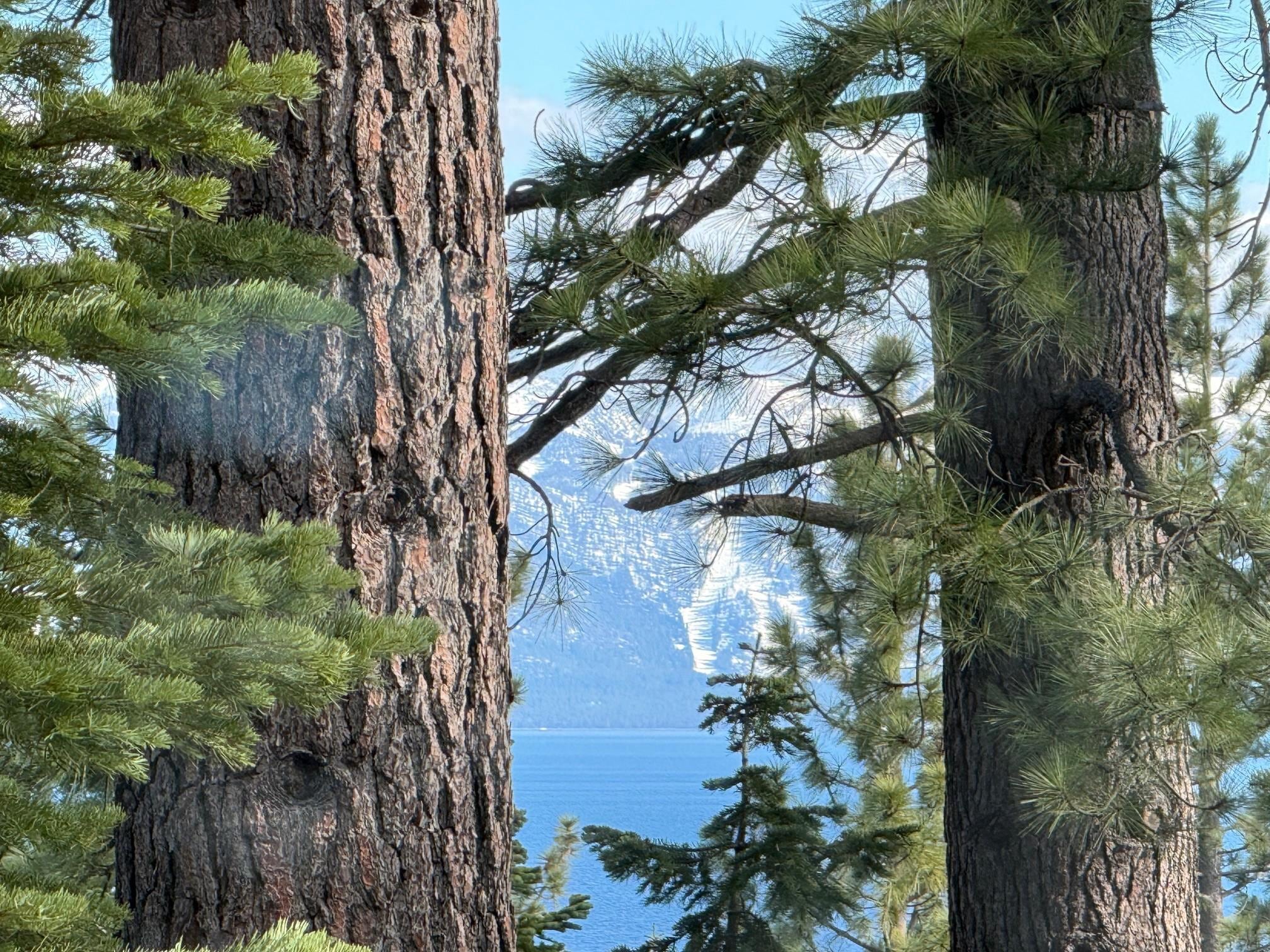 Lake Tahoe - zoomed in photo from the deck.