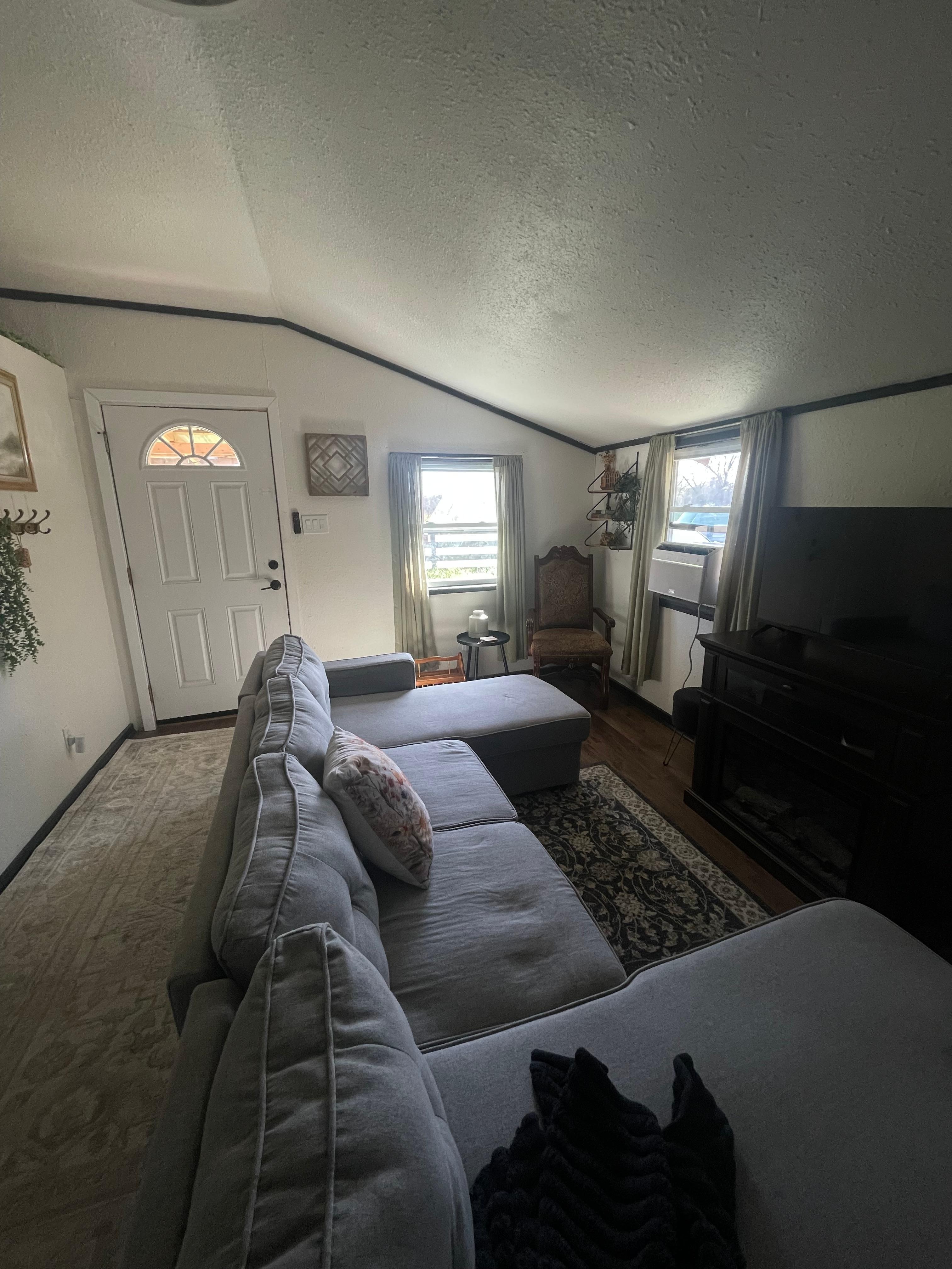 Living room with front door and TV pictured. 