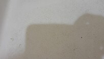 Mold covering the entire floor of the shower, and this was after we tried to bleach-wipe it.