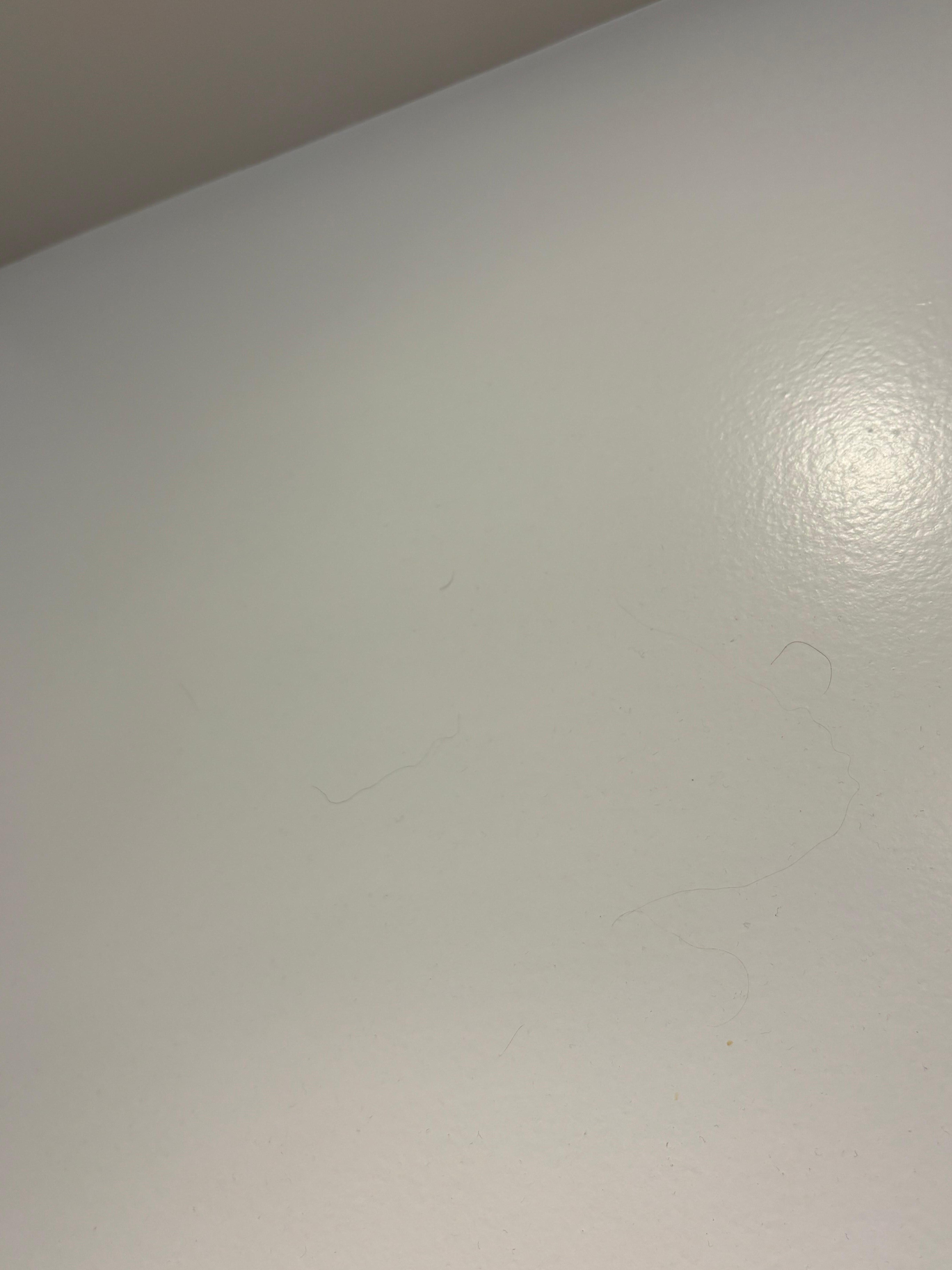 Mur de la salle de bain 