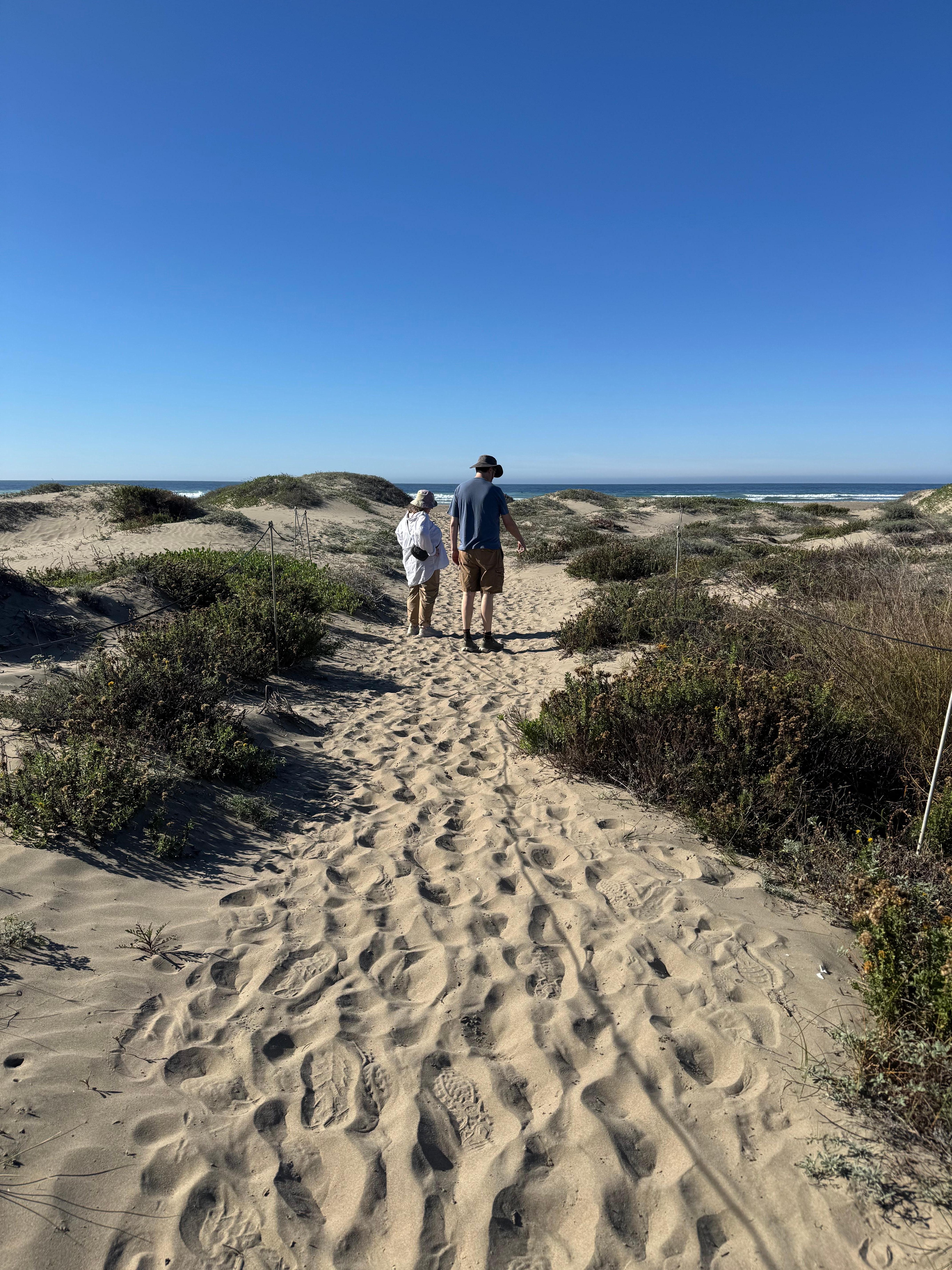 Walks on the nearby beaches!