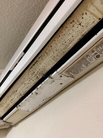 Mold on air conditioning