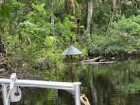 Nice boat ride and preserve right next door