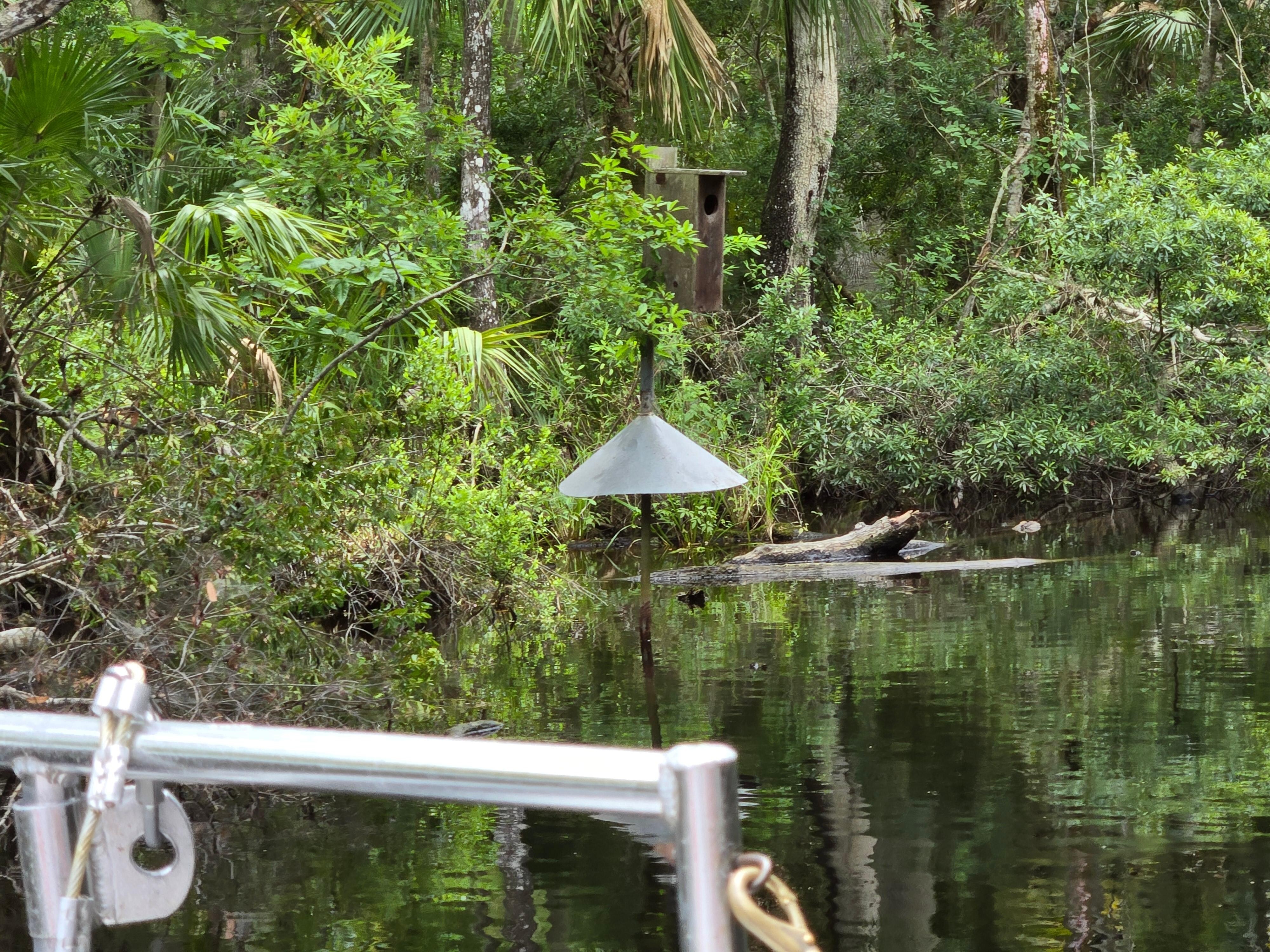 Nice boat ride and preserve right next door