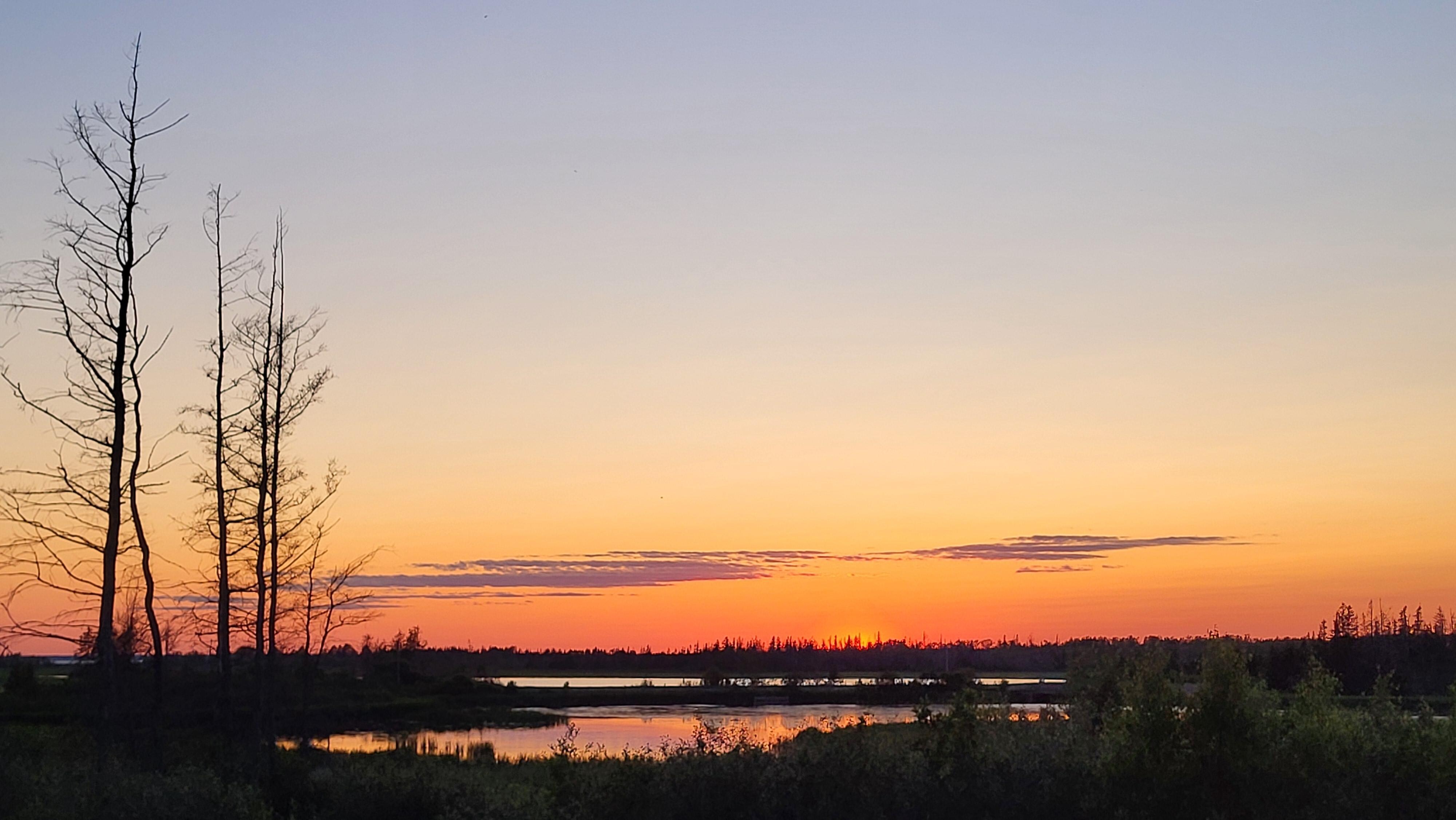 Evening view