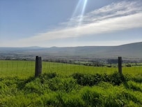 Preseli mountains near llys y fran