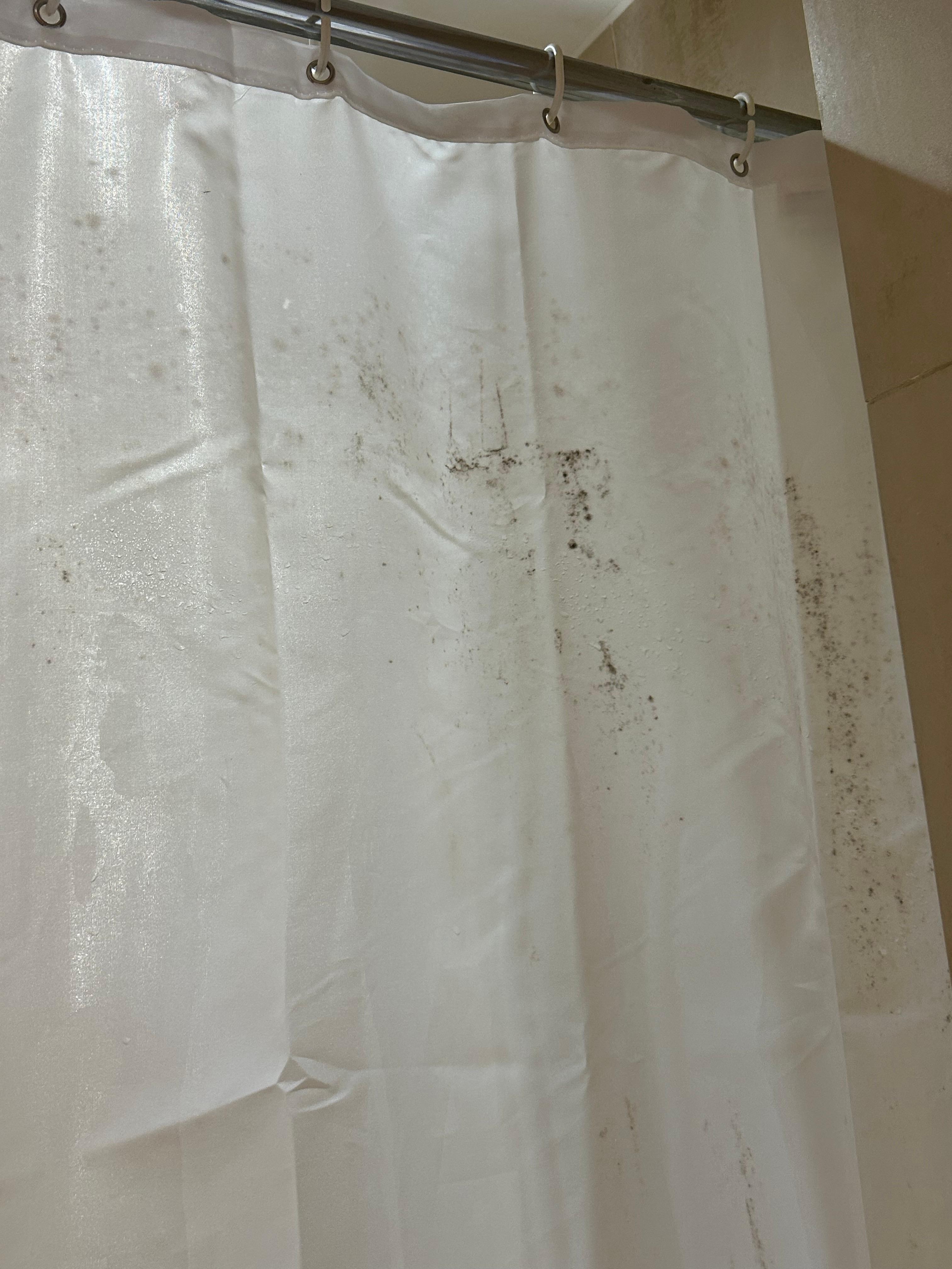Shower curtain, this was an upgraded room