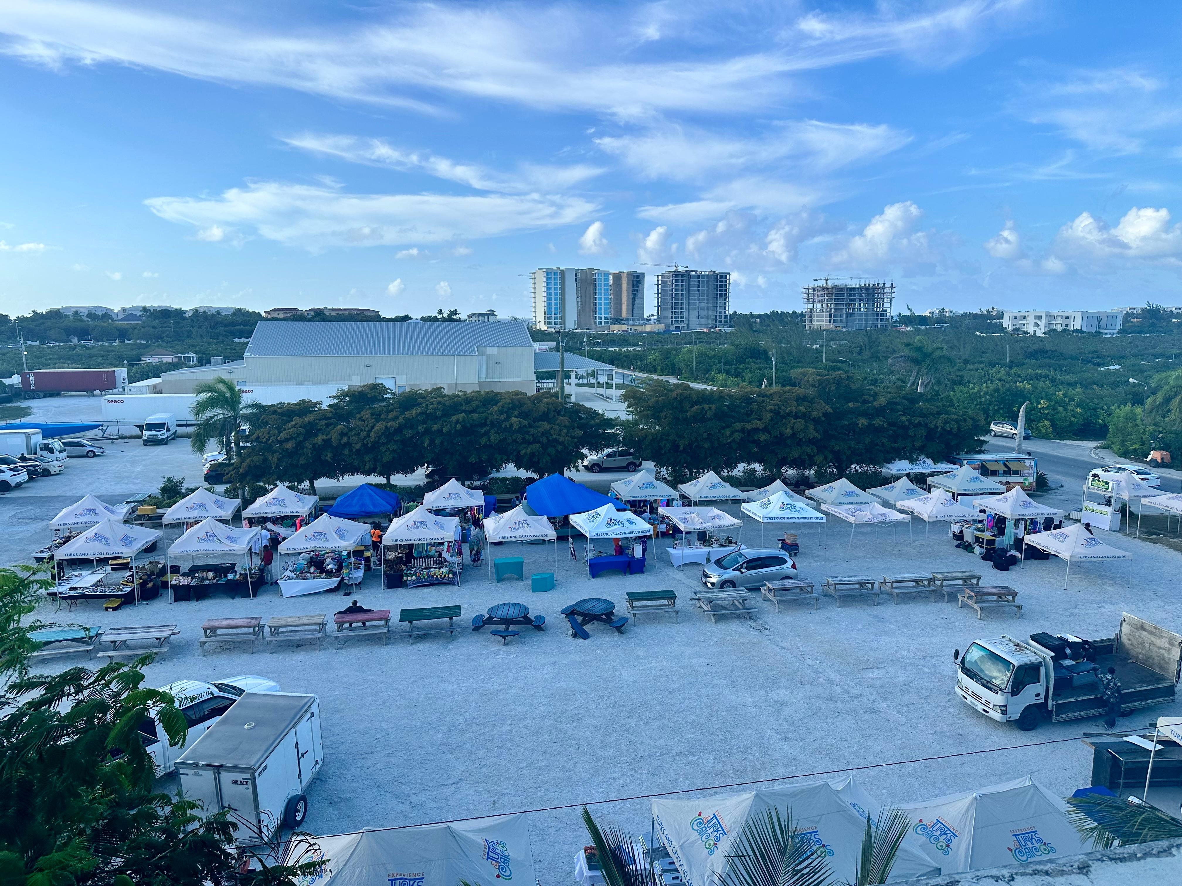 View of fish fry lot