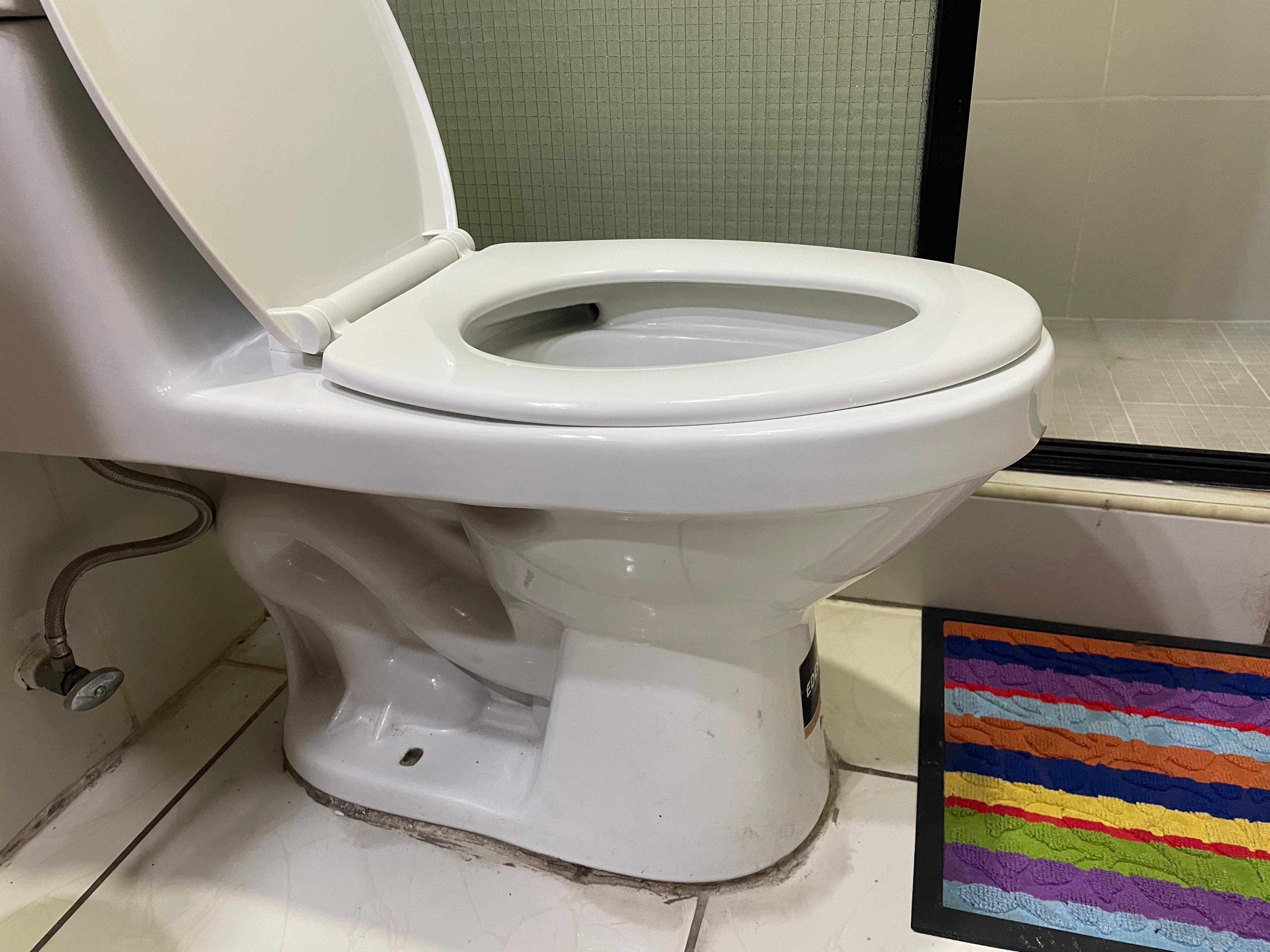 Dirty toilet.