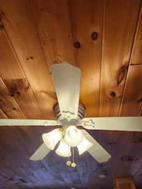 Interior ceiling fan