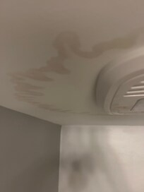 Mildewed ceiling in 3rd bathroom