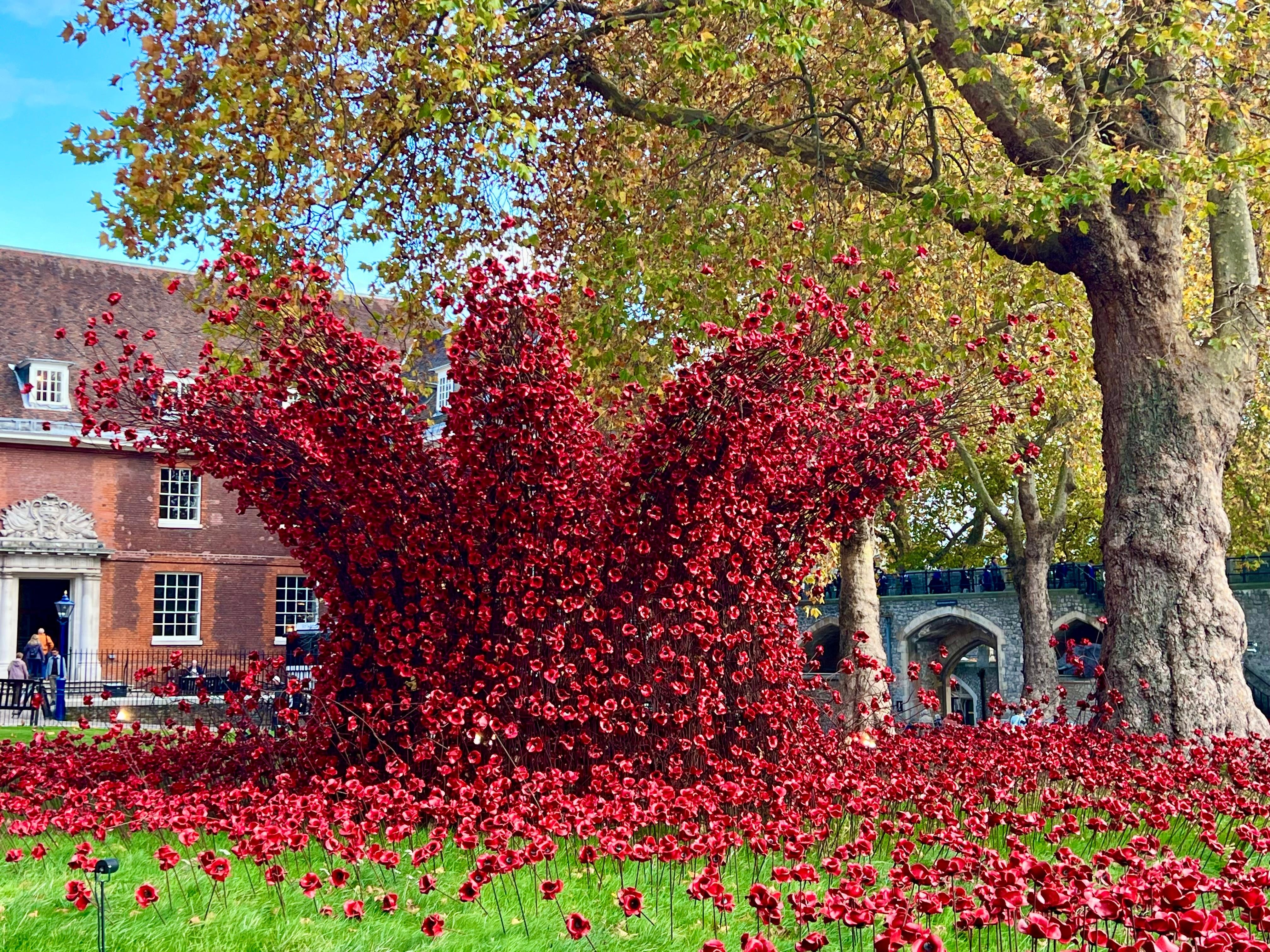 80th anniversary poppy display @nearby Tower of London 