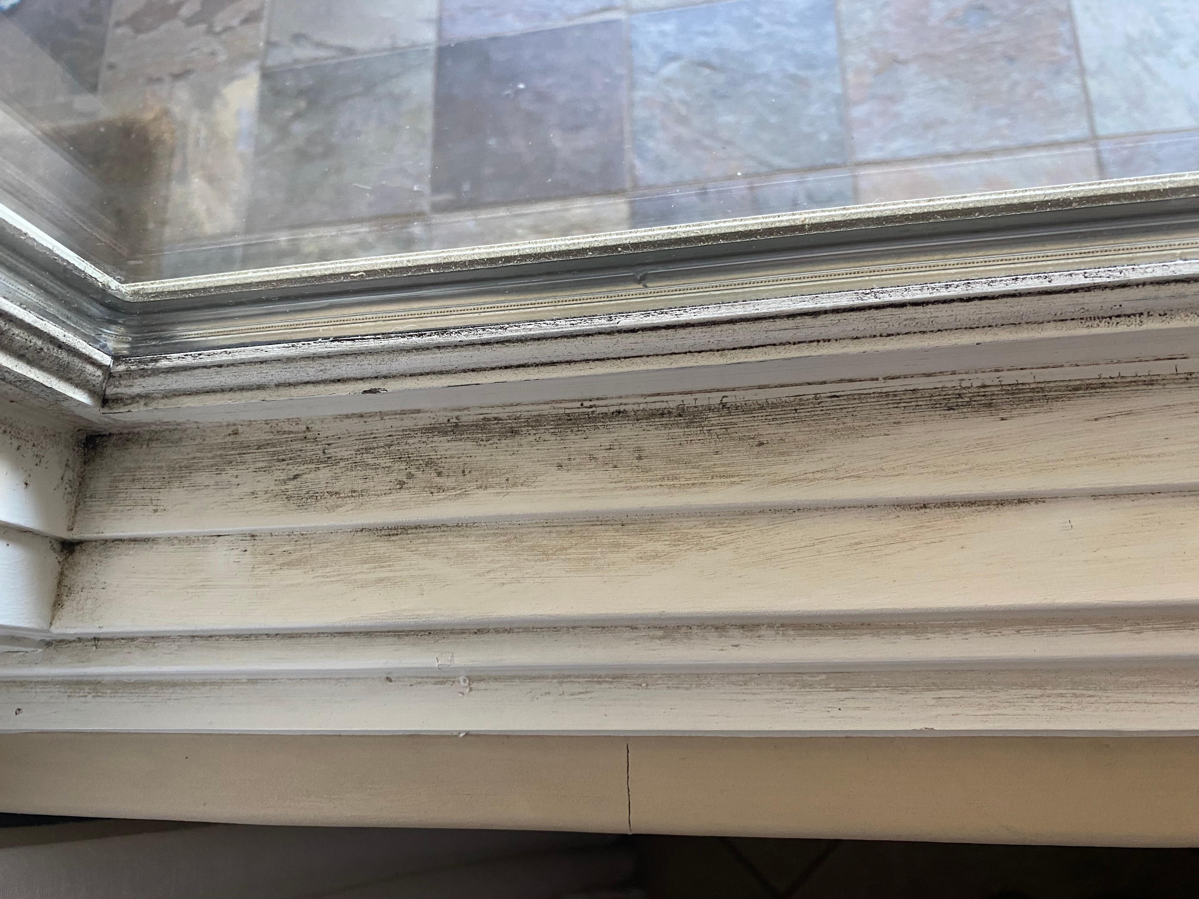 This is inside the house. The window sills were all filthy.