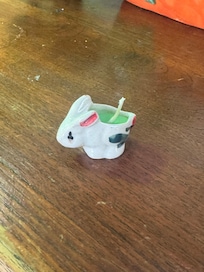 Souvenir from the resort