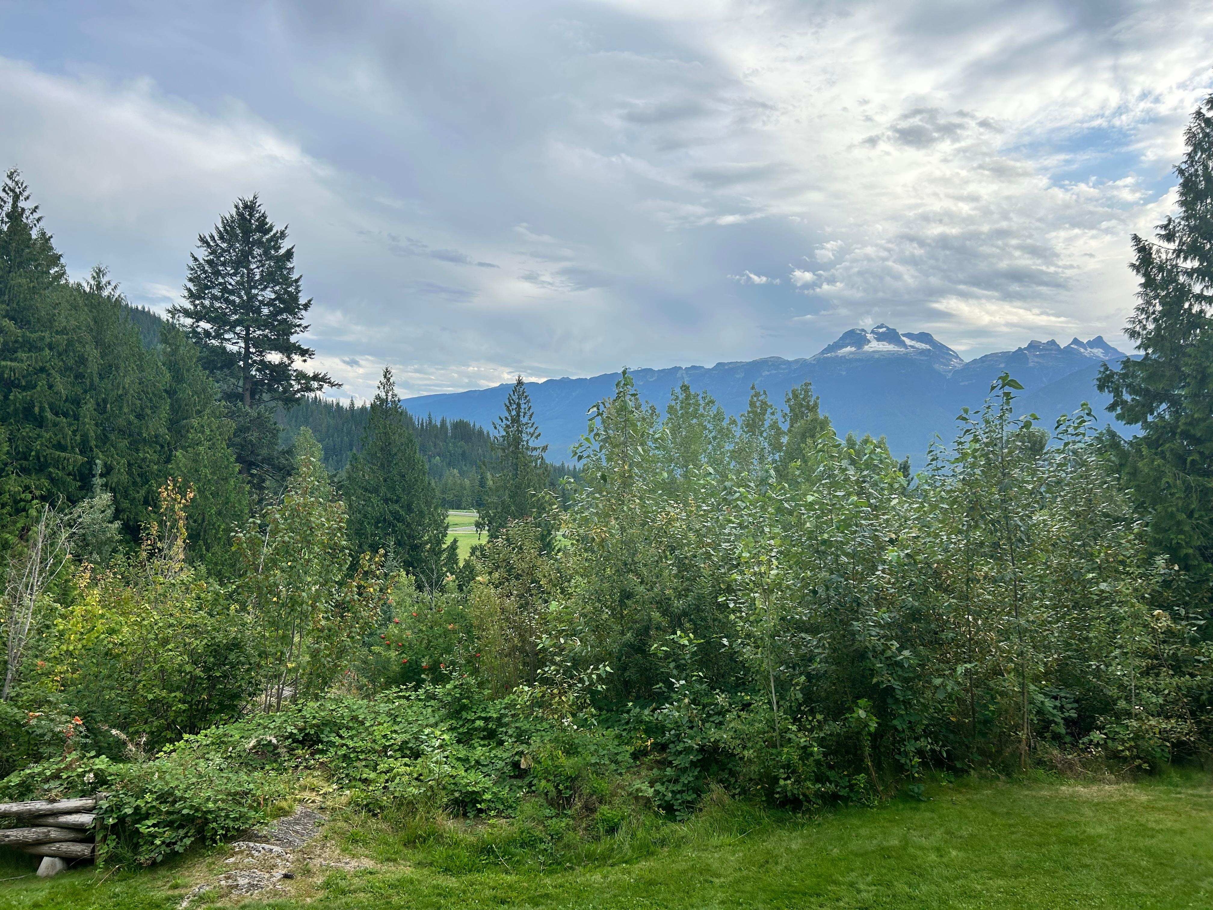 Lookout from the hot tub