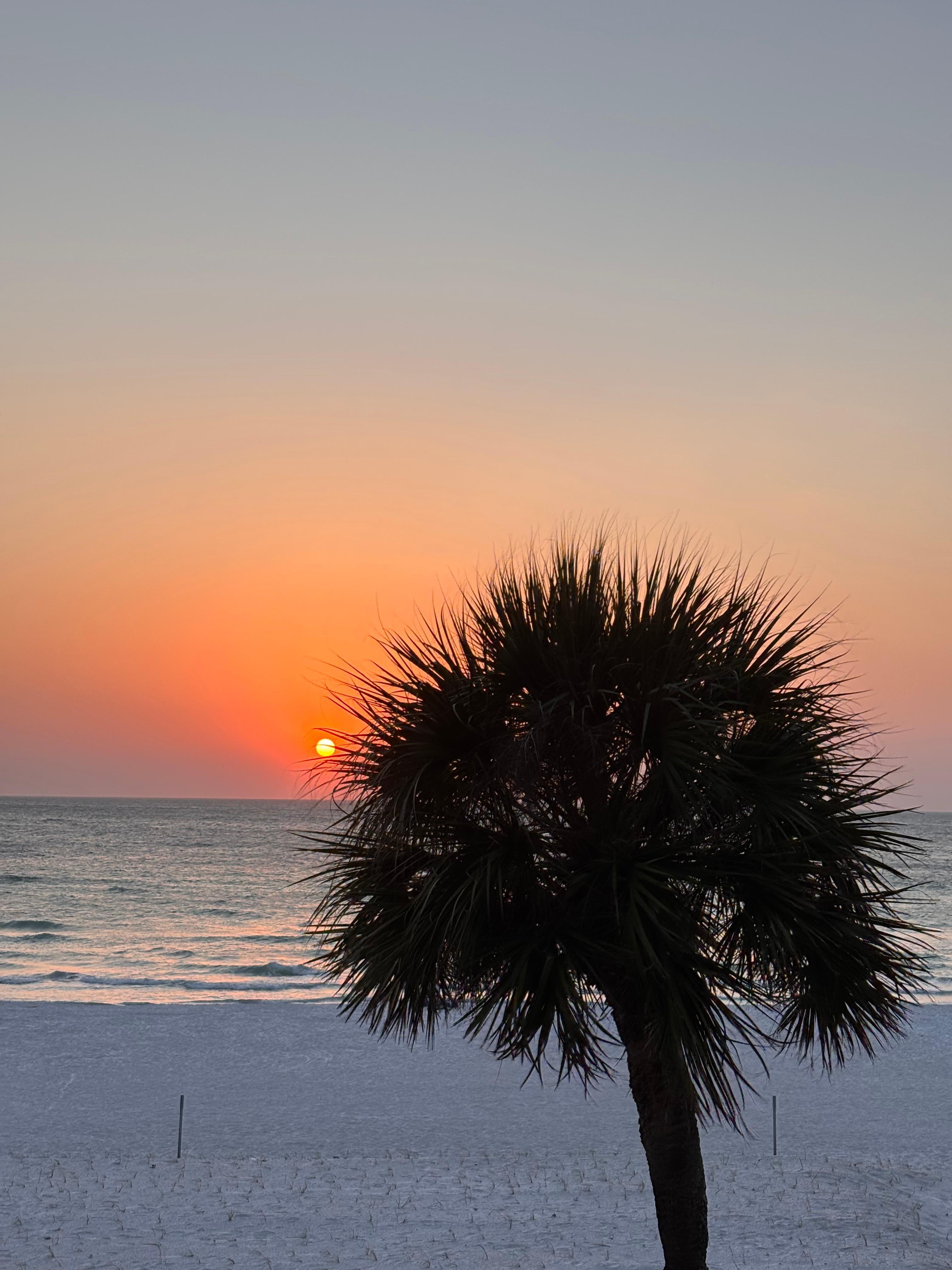 View from the patio. 