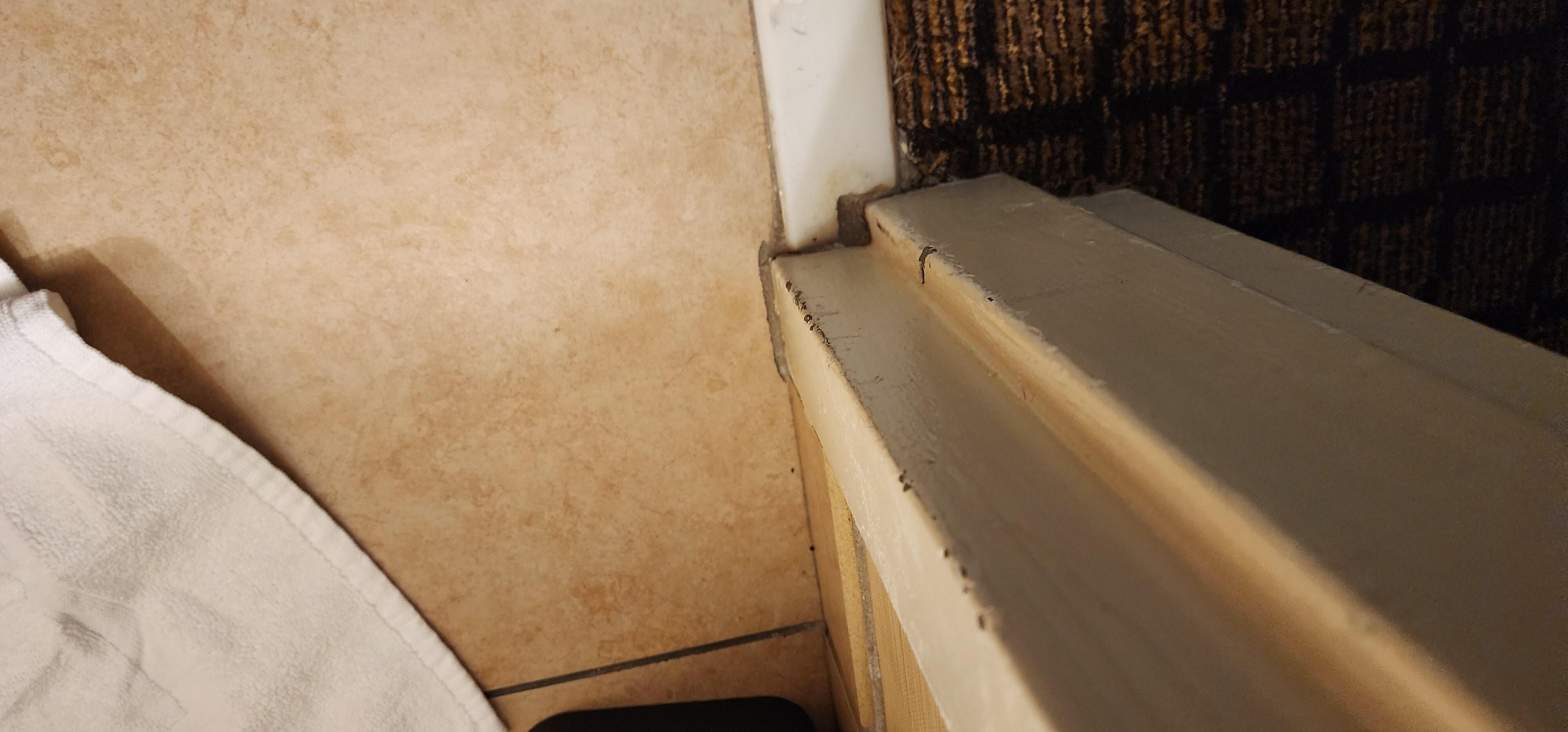 Dead wasps/bugs in window sill 