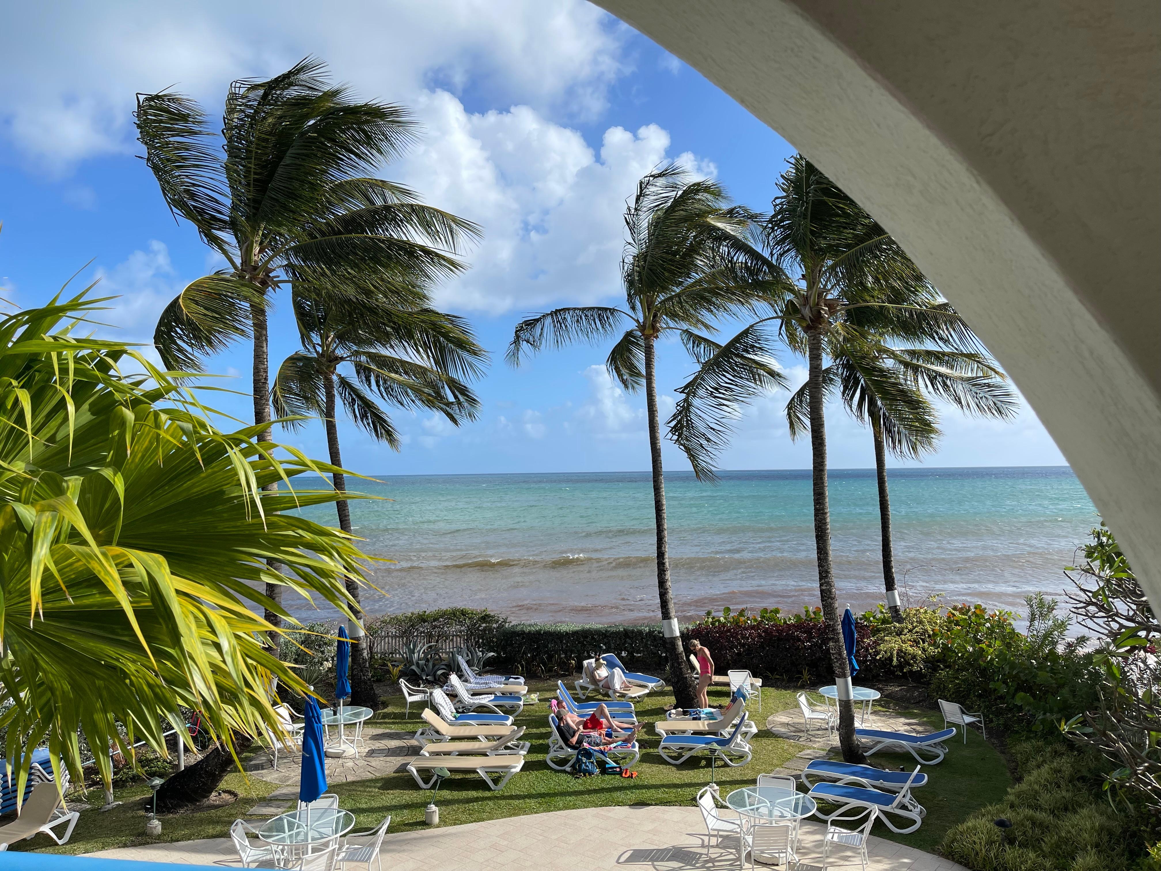 View from our patio