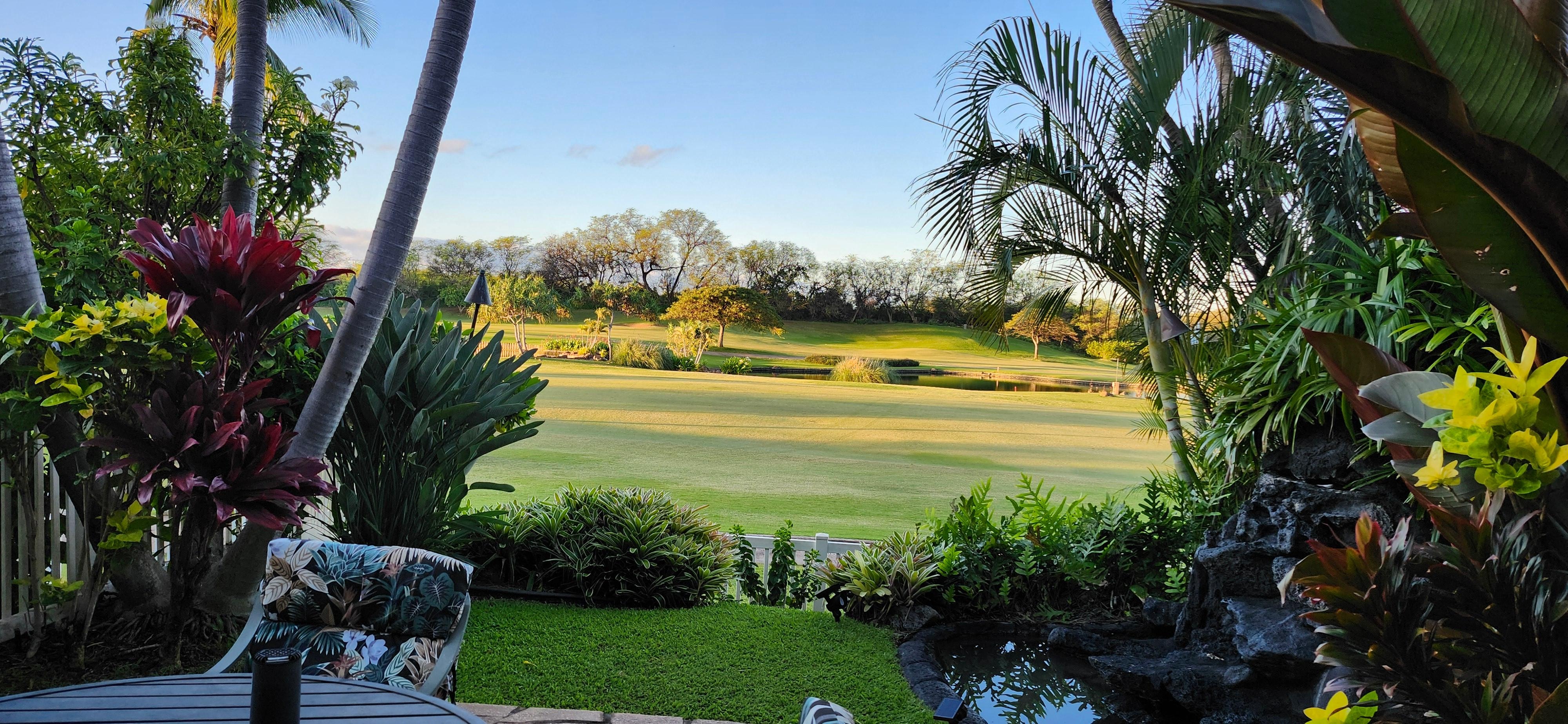 View of the golf course