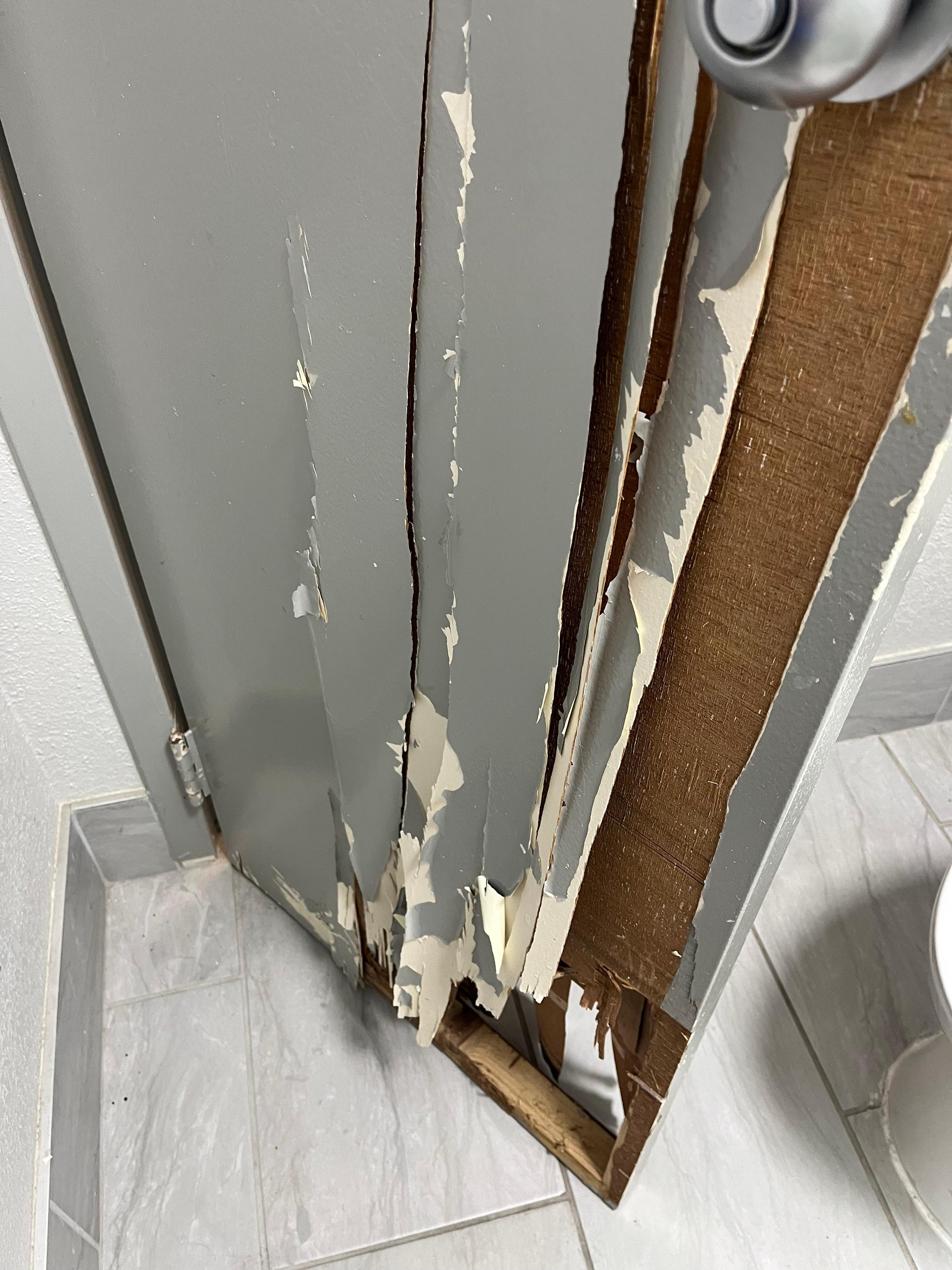 Damage door
