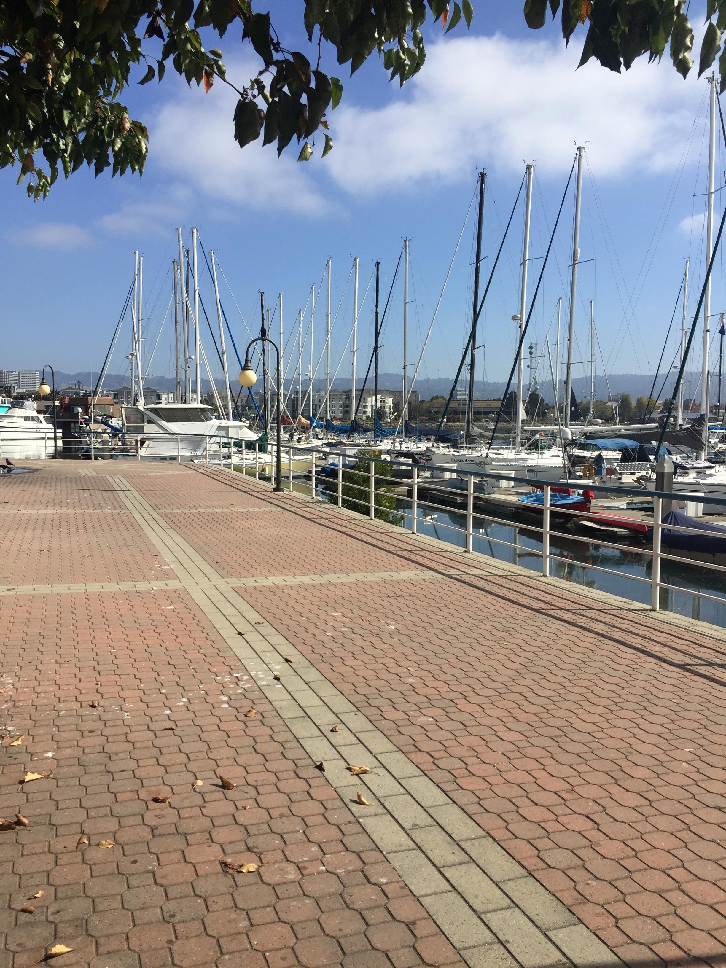 Great location for a morning walk.