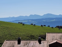 Aussicht vom Balkon