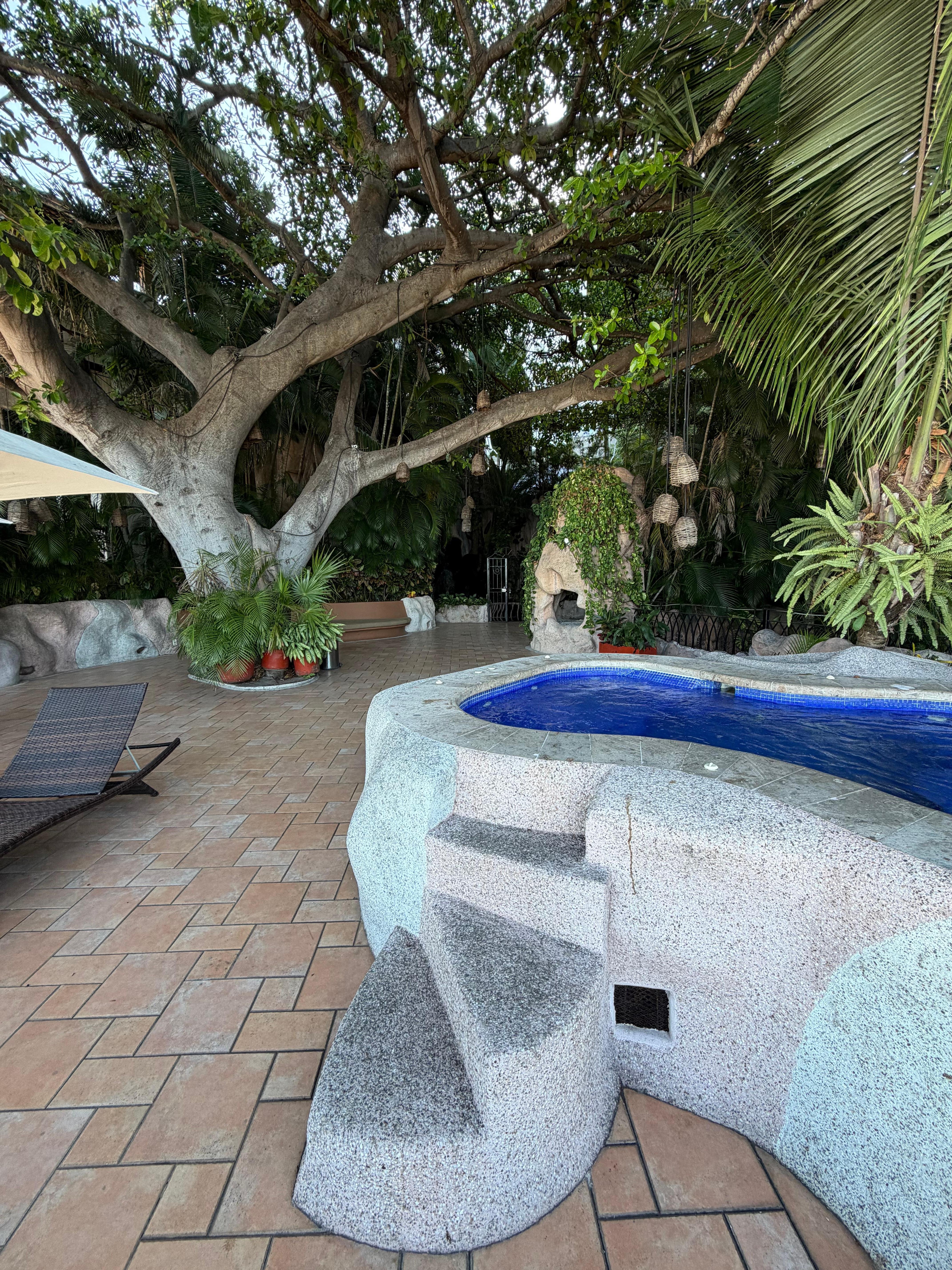 Stunning upper terrace with a small pool and huge tree!