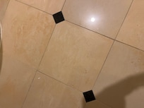 Hair on bathroom floor.