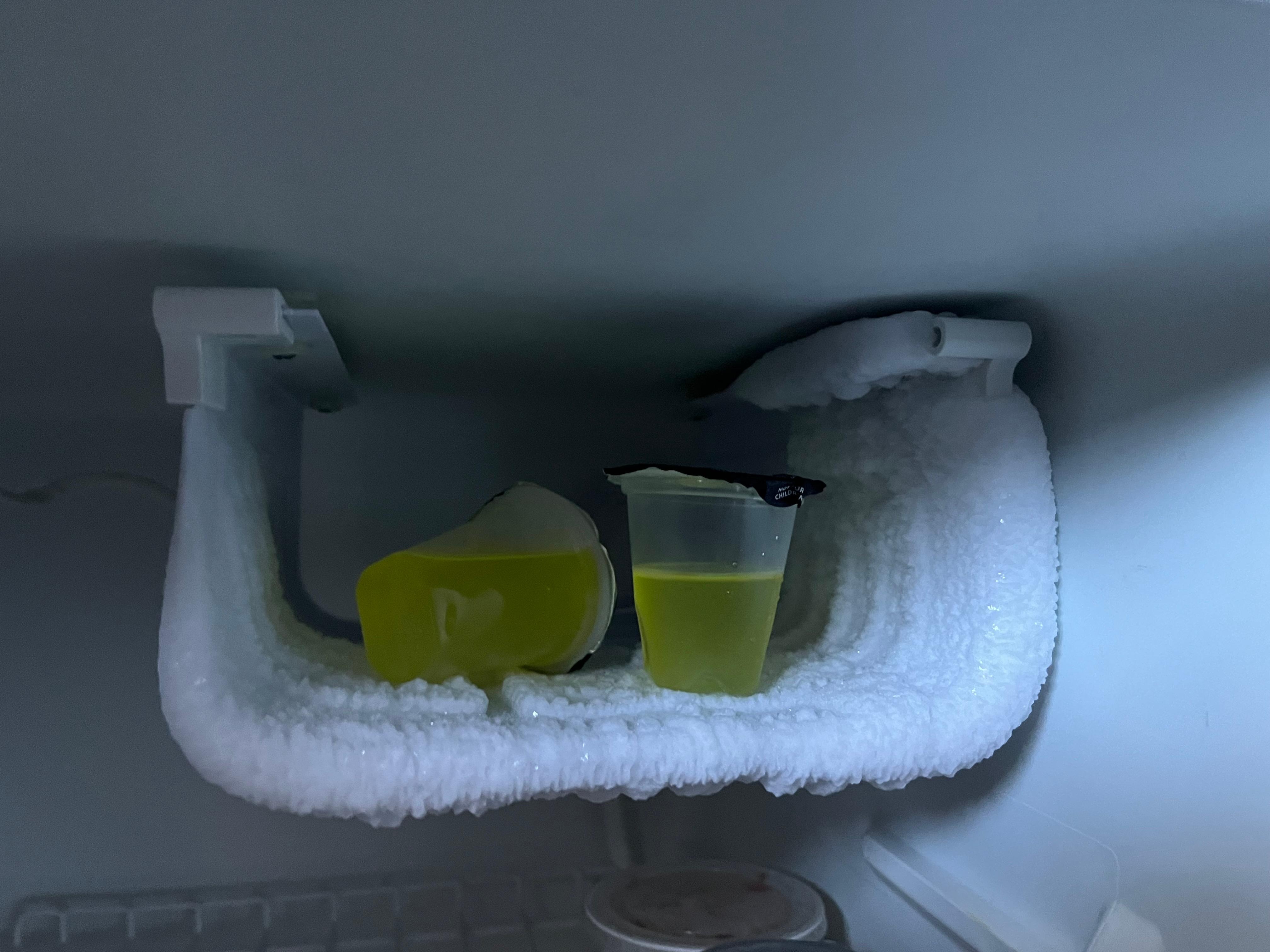 Freezer when we checked in 